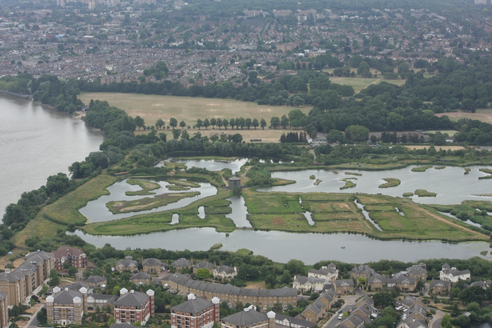 5 Things You Didn t Know About London Wetland Centre WWT London 5 Things You Didn t Know About London Wetland Centre WWT London